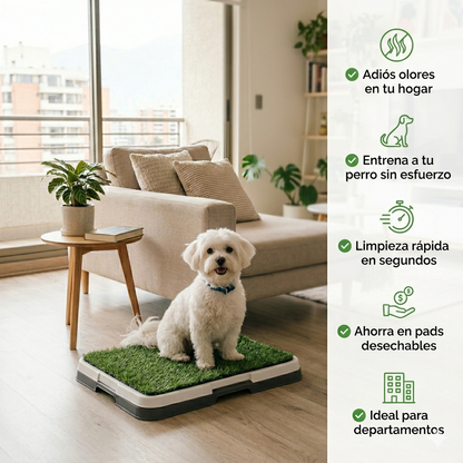PuppyClean™ | Tapete Antiolor para Mascotas Premium