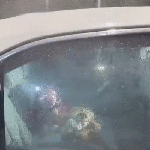 EcoClear™ Cepillo Impermeabilizante